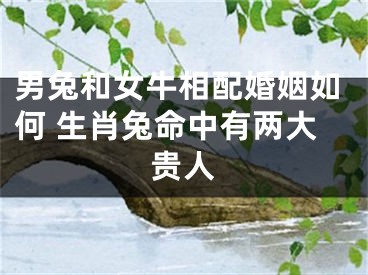 男兔和女牛相配婚姻如何 生肖兔命中有两大贵人