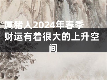 属猪人2024年春季财运有着很大的上升空间
