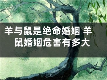 羊与鼠是绝命婚姻 羊鼠婚姻危害有多大