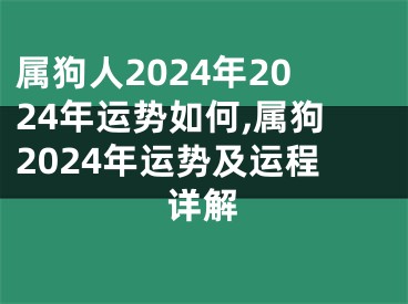 属狗人2024年2024年运势如何,属狗2024年运势及运程详解