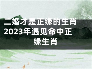 二婚才是正缘的生肖 2023年遇见命中正缘生肖