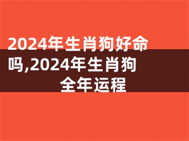 2024年生肖狗好命吗,2024年生肖狗全年运程