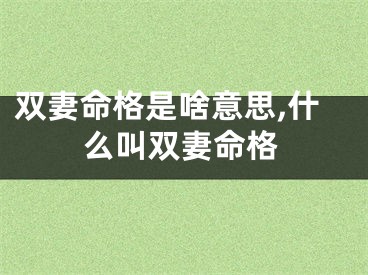 双妻命格是啥意思,什么叫双妻命格