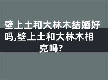 壁上土和大林木结婚好吗,壁上土和大林木相克吗?