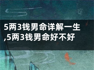 5两3钱男命详解一生,5两3钱男命好不好