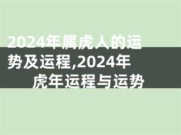 2024年属虎人的运势及运程,2024年虎年运程与运势