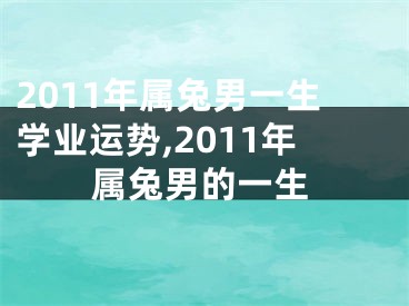 2011年属兔男一生学业运势,2011年属兔男的一生