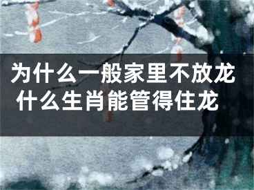 为什么一般家里不放龙 什么生肖能管得住龙