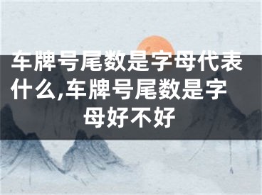 车牌号尾数是字母代表什么,车牌号尾数是字母好不好