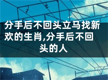 分手后不回头立马找新欢的生肖,分手后不回头的人
