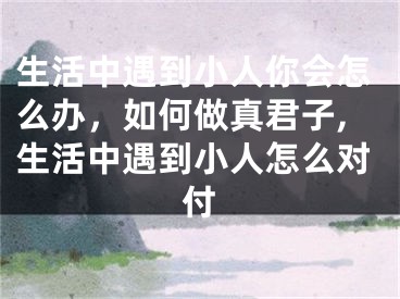 生活中遇到小人你会怎么办，如何做真君子,生活中遇到小人怎么对付