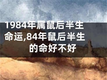 1984年属鼠后半生命运,84年鼠后半生的命好不好