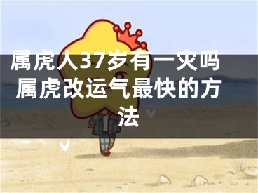 属虎人37岁有一灾吗 属虎改运气最快的方法