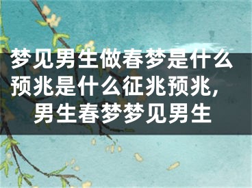 梦见男生做春梦是什么预兆是什么征兆预兆,男生春梦梦见男生