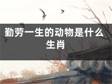 勤劳一生的动物是什么生肖