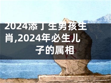 2024添丁生男孩生肖,2024年必生儿子的属相