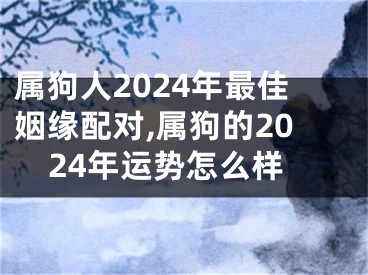 属狗人2024年最佳姻缘配对,属狗的2024年运势怎么样