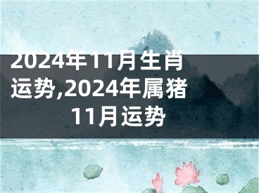 2024年11月生肖运势,2024年属猪11月运势