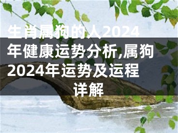 生肖属狗的人2024年健康运势分析,属狗2024年运势及运程详解