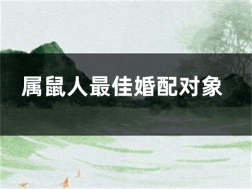 属鼠人最佳婚配对象