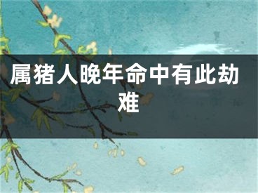 属猪人晚年命中有此劫难