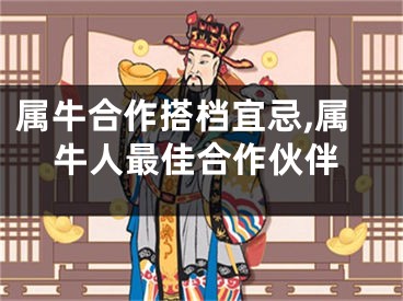 属牛合作搭档宜忌,属牛人最佳合作伙伴