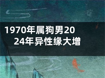 1970年属狗男2024年异性缘大增
