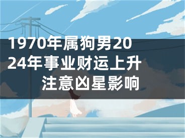1970年属狗男2024年事业财运上升 注意凶星影响