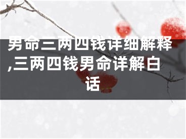 男命三两四钱详细解释,三两四钱男命详解白话