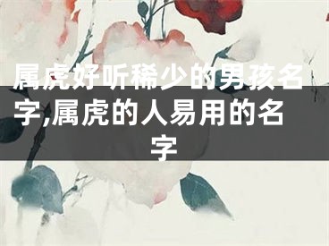 属虎好听稀少的男孩名字,属虎的人易用的名字