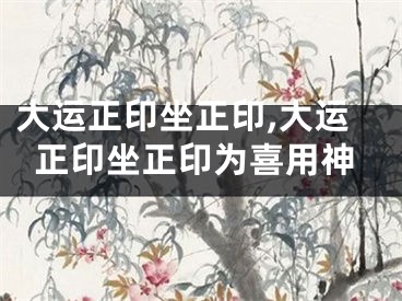 大运正印坐正印,大运正印坐正印为喜用神