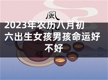 2023年农历八月初六出生女孩男孩命运好不好