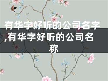 有华字好听的公司名字,有华字好听的公司名称