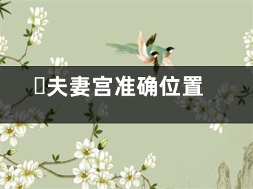 ​夫妻宫准确位置
