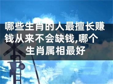 哪些生肖的人最擅长赚钱从来不会缺钱,哪个生肖属相最好