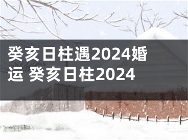 癸亥日柱遇2024婚运 癸亥日柱2024