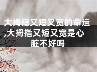 大拇指又短又宽的命运,大拇指又短又宽是心脏不好吗