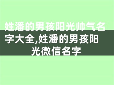 姓潘的男孩阳光帅气名字大全,姓潘的男孩阳光微信名字