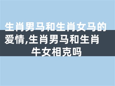 生肖男马和生肖女马的爱情,生肖男马和生肖牛女相克吗