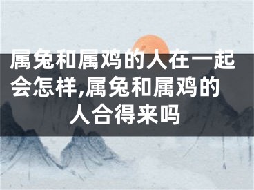 属兔和属鸡的人在一起会怎样,属兔和属鸡的人合得来吗
