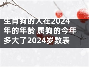 生肖狗的人在2024年的年龄 属狗的今年多大了2024岁数表