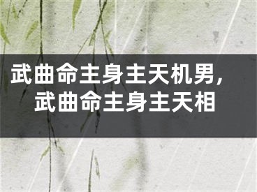 武曲命主身主天机男,武曲命主身主天相