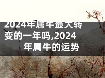 2024年属牛最大转变的一年吗,2024年属牛的运势