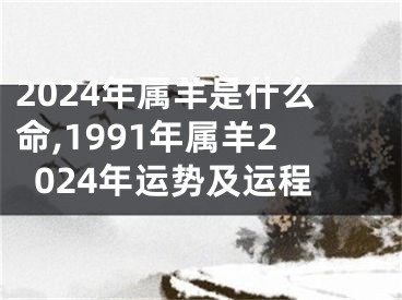 2024年属羊是什么命,1991年属羊2024年运势及运程