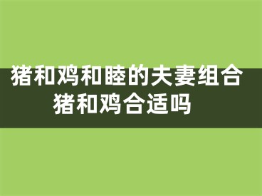 猪和鸡和睦的夫妻组合 猪和鸡合适吗