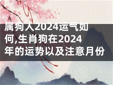 属狗人2024运气如何,生肖狗在2024年的运势以及注意月份