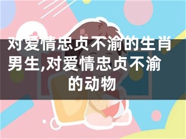 对爱情忠贞不渝的生肖男生,对爱情忠贞不渝的动物
