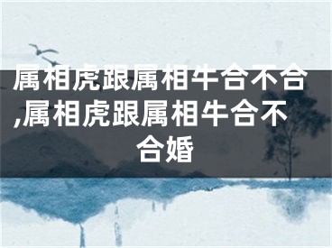 属相虎跟属相牛合不合,属相虎跟属相牛合不合婚