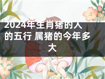 2024年生肖猪的人的五行 属猪的今年多大