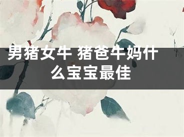 男猪女牛 猪爸牛妈什么宝宝最佳